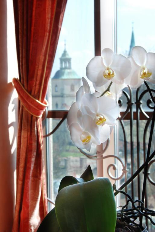 Hotel Basztowy Sandomierz Eksteriør billede
